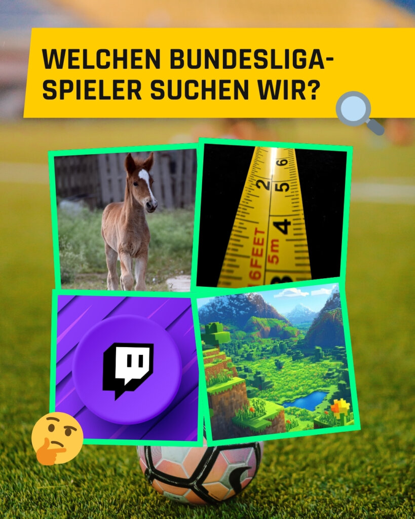 Rätselbild: Tim Kleindienst